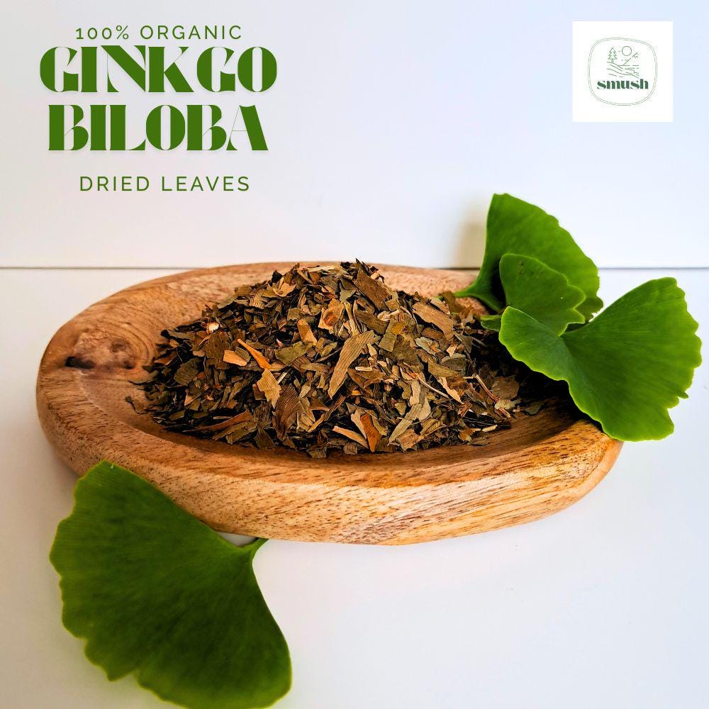 Hojas secas de Ginkgo Biloba – Té de hierbas 100% natural , 50 g, Apoyo para el cerebro y la memoria | Suelto | Solo para uso en adultos | Estimulante de la circulación