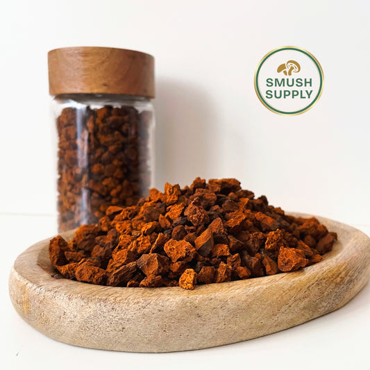Trozos de Chaga (0.2 a 1 cm) 100 g - Cosecha 2025 | Alta Concentración de Beta-Glucanos, Polisacáridos, Antioxidantes y Más para una Infusión Superior | Hongo Medicinal Premium